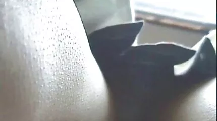 Blondine nam lul in de sex voor geld porno kont en sperma in mond