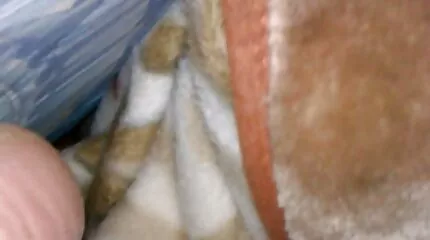 Rondborstige honkbaltrainer geneukt in sex filmpjes amateurs geschoren kutje door een beginnende atleet